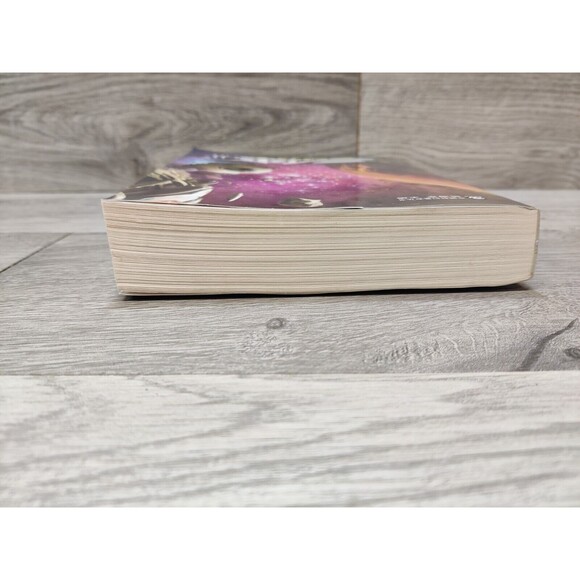 三体 刘慈欣 The Three-Body Problem Liu Cixin Vol.2 The Dark Forest in Chinese - Picture 9 of 13